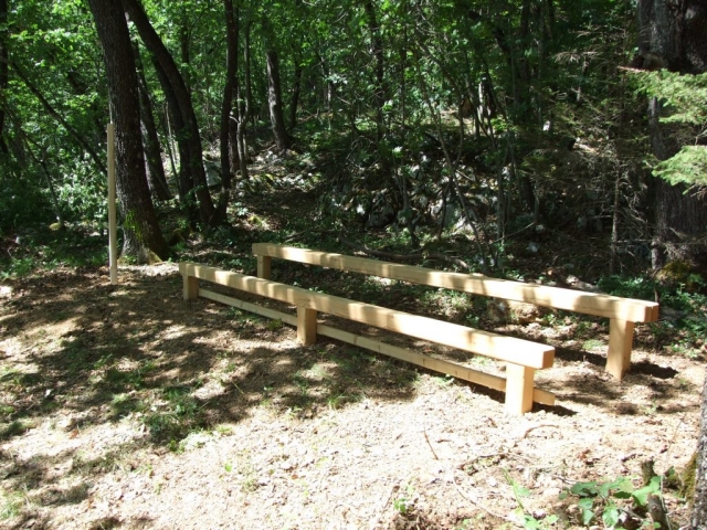 trebušnjaki